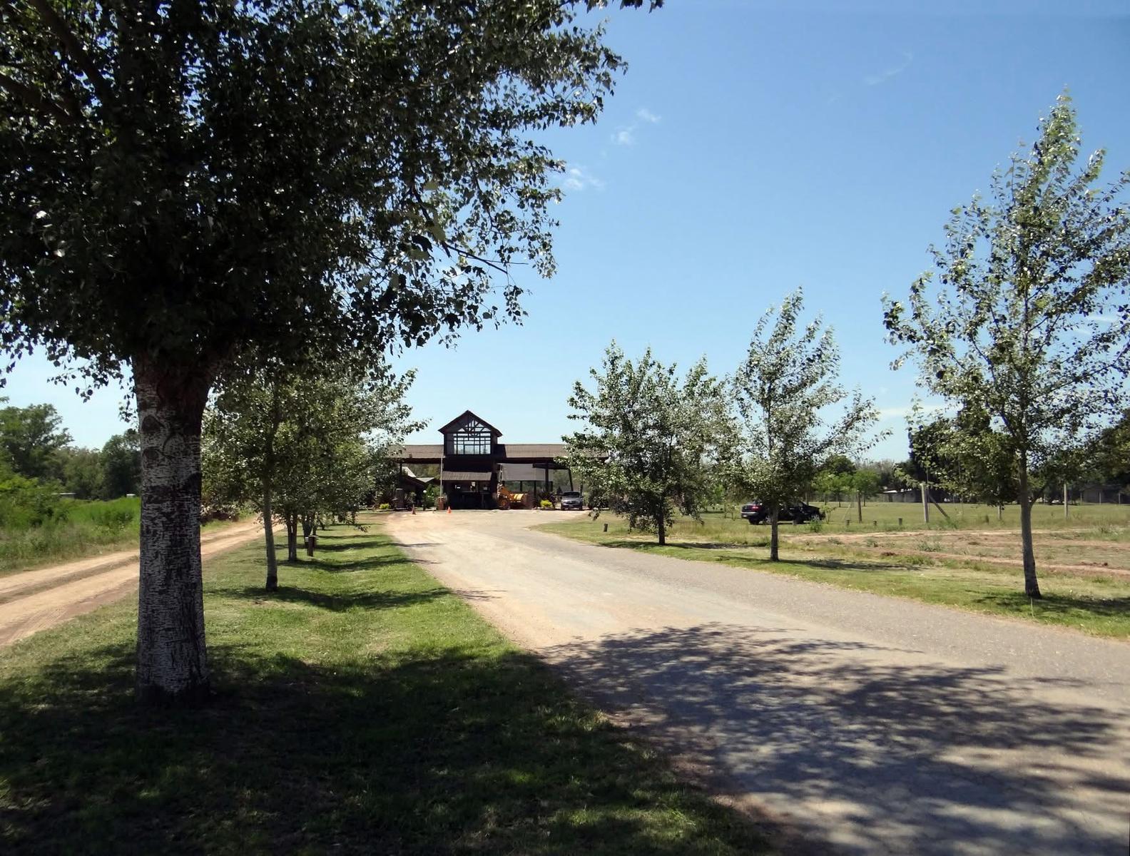 Terreno en Barrio Villa Elena , Oliveros Santa Fe 